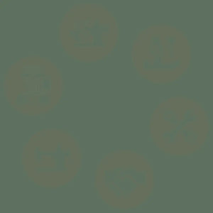 071/396 Kingstar Polyester 1000M Col 396 Domestic Thread