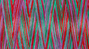 730809 9893 Bulky-Lock 80: 1,000m: Multi-colour Domestic