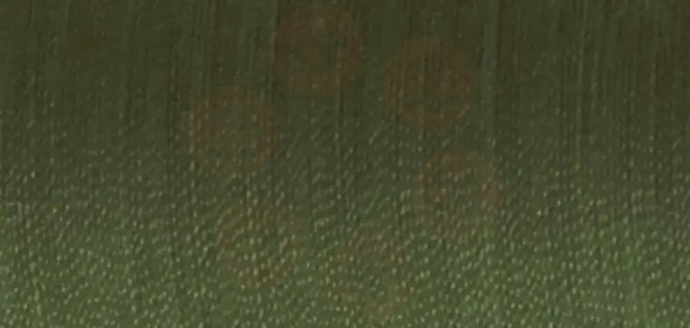8795 Aerofil No.120: 100m: Deep Green DOMESTIC THREAD