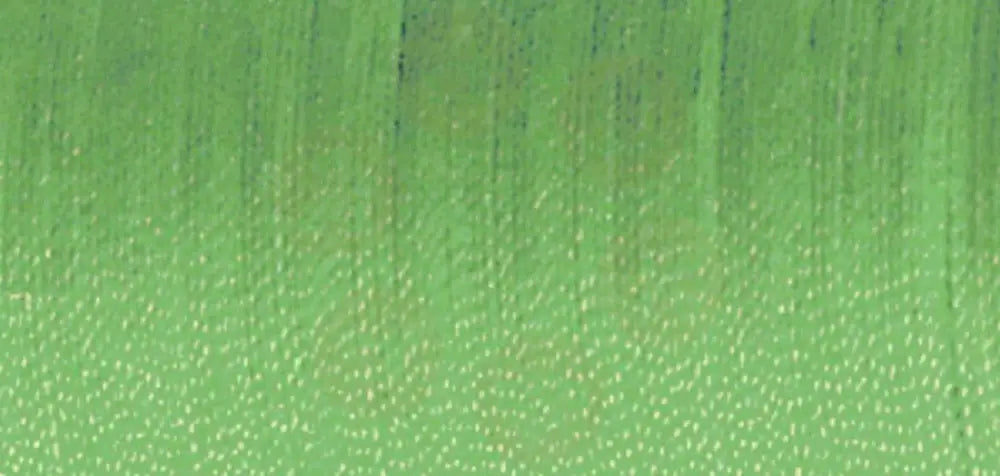 8995 Aerofil No.120: 100m: Light Green DOMESTIC THREAD