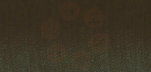 9055 Madeira Aerofil No.120 100m: Seaweed Green DOMESTIC THREAD