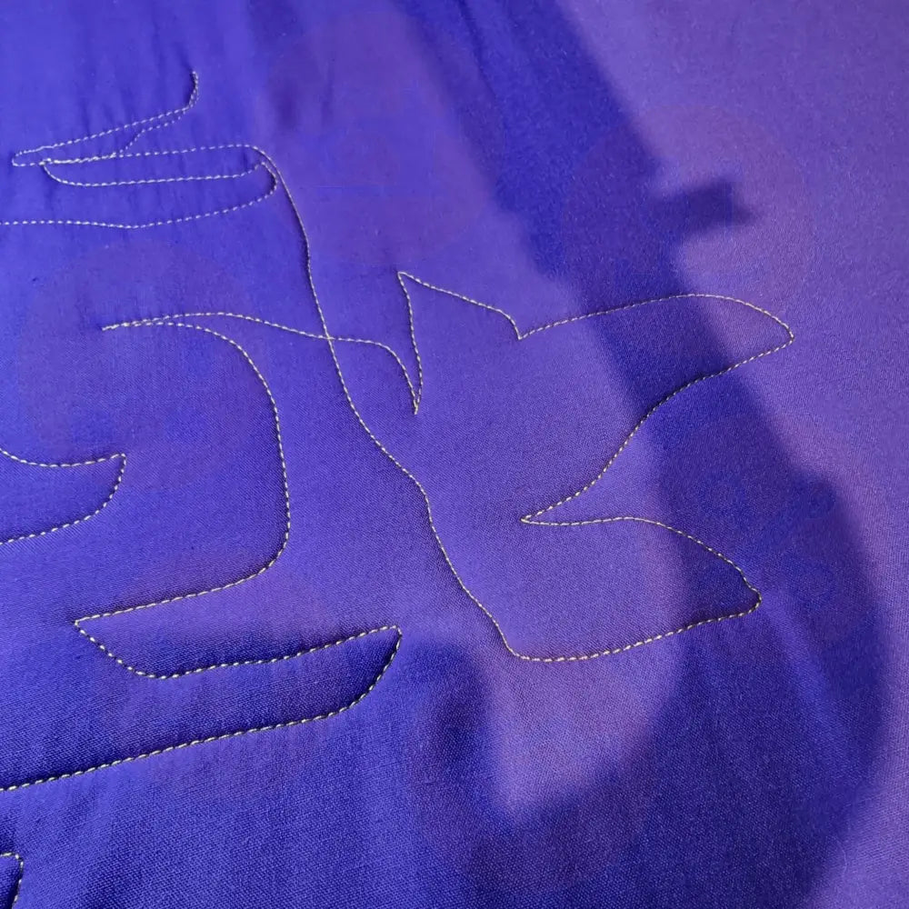 Bernina Q24 Longarm Quilting Machine with Classic PRO frame **PRE-LOVED** Domestic