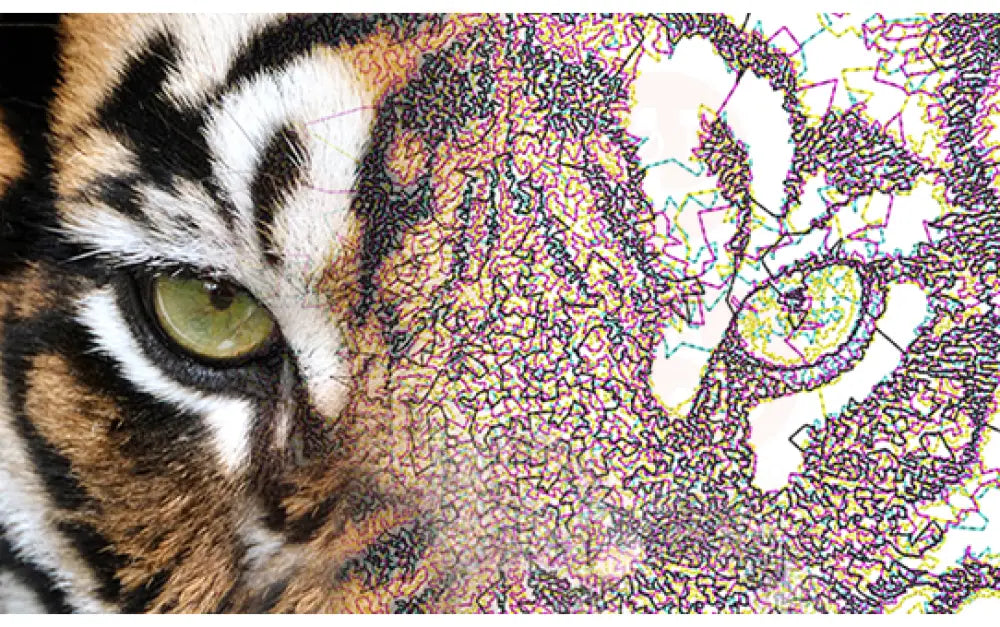 Brother BE Embroidery Studio software Domestic